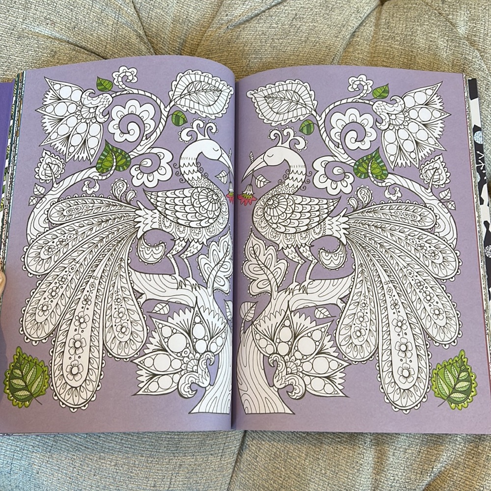 Calming Therapy An Anti-Stress Coloring Book.  Hardcover coloring book. - Picture 5 of 8